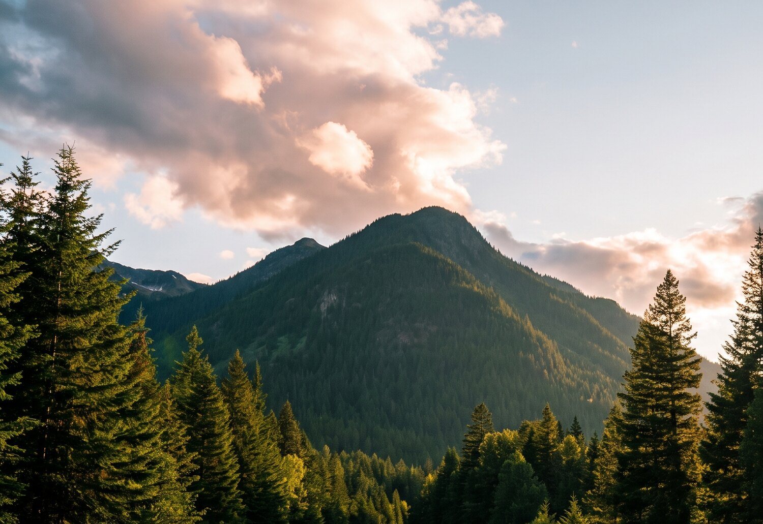 Golden evening light over a forested ridge